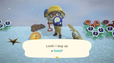 list of animal crossing fossils.